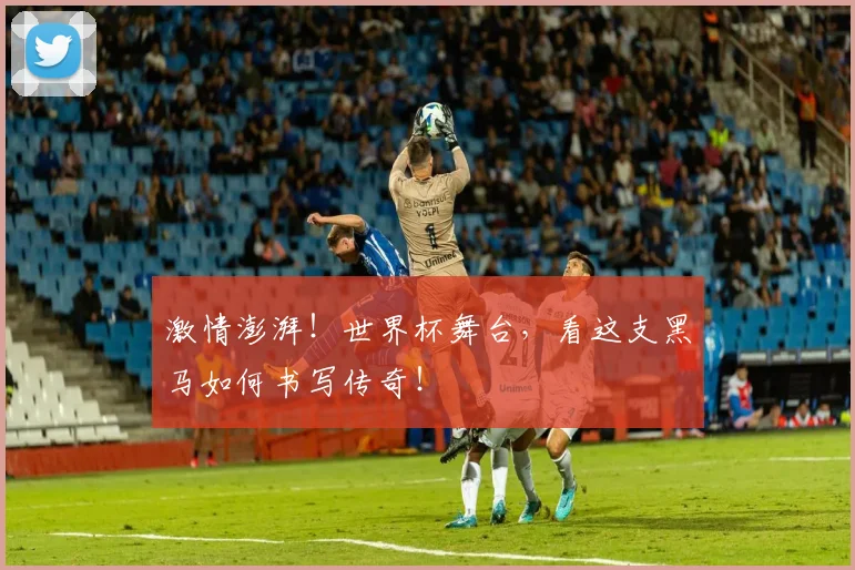 激情澎湃！世界杯舞台，看这支黑马如何书写传奇！