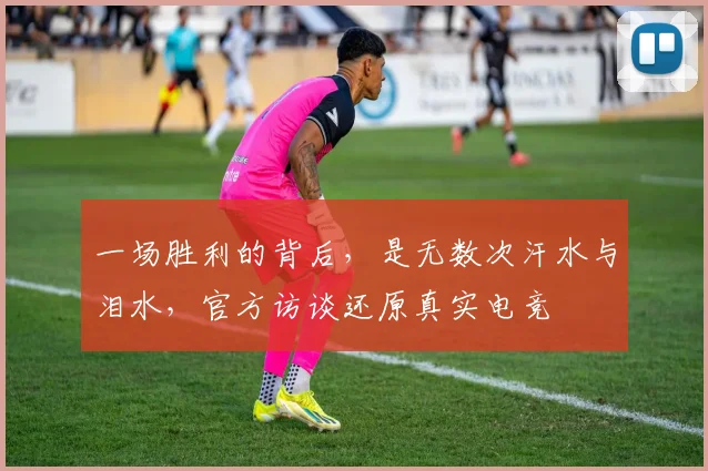 一场胜利的背后，是无数次汗水与泪水，官方访谈还原真实电竞